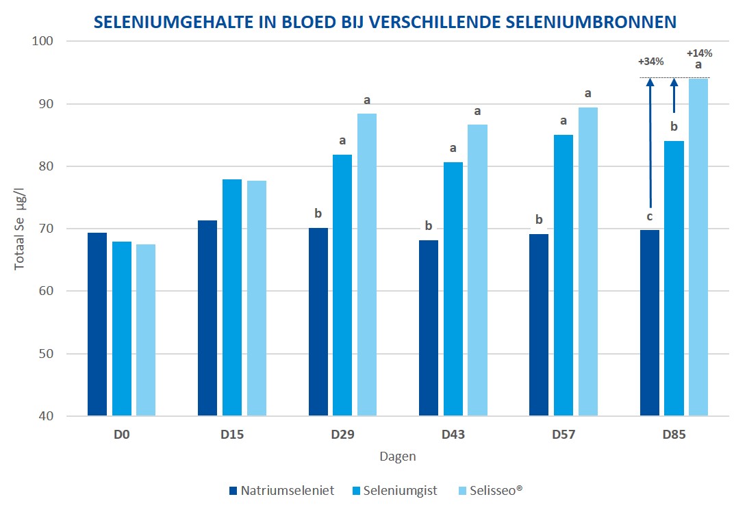 Figuur 1: het totale seleniumgehalte in bloedmonsters van vleesvee steeg het meest bij de koeien met Selisseo in het rantsoen (praktijkproef Frankrijk, 2017). 