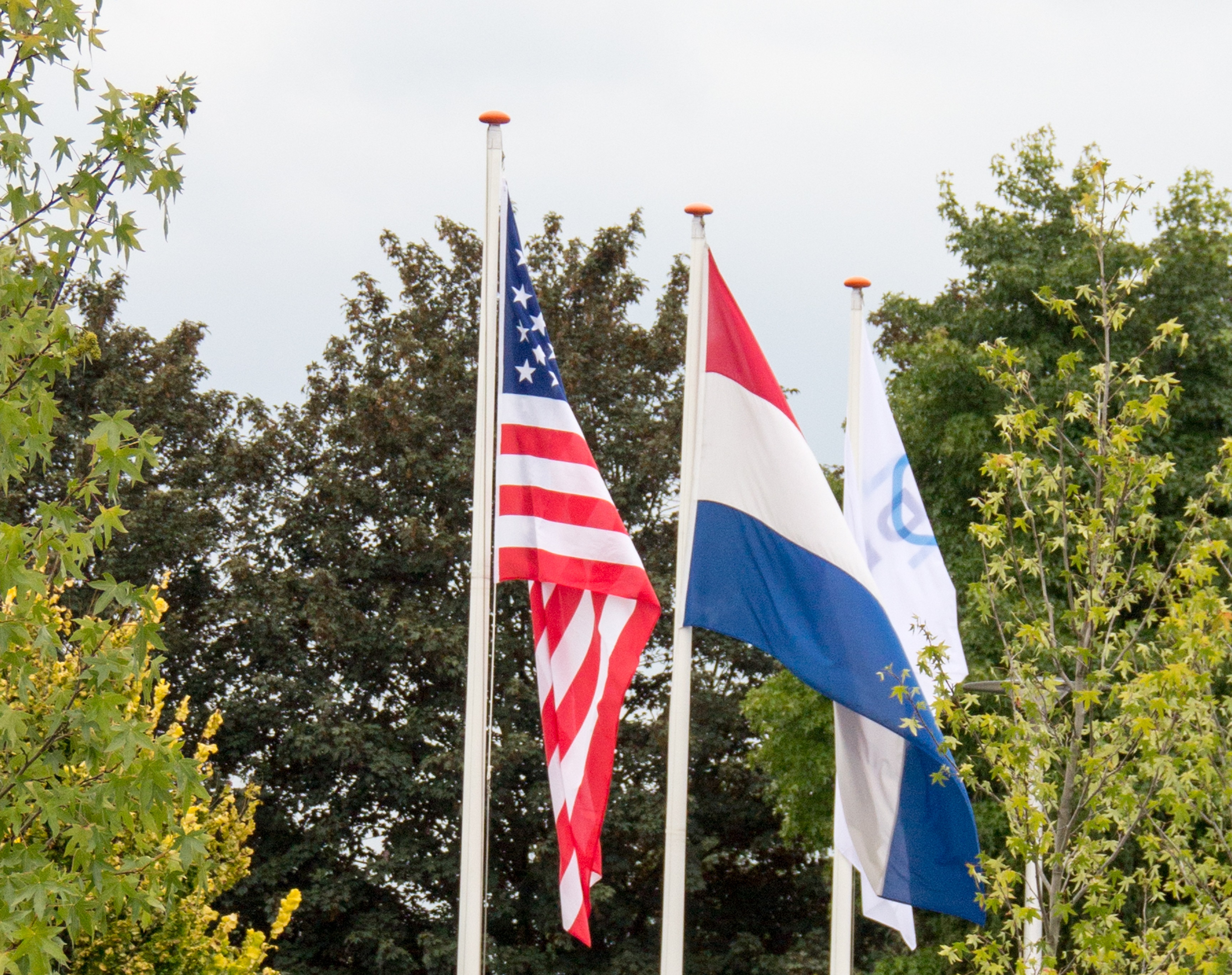 flags of USA, The Netherlands and Denkavit